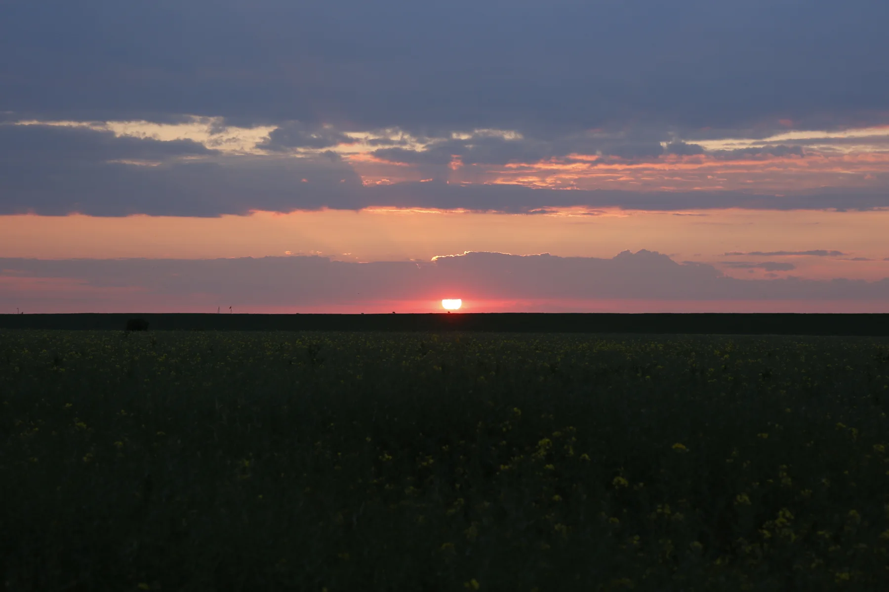 Abendlicht über der Landschaft am Hof