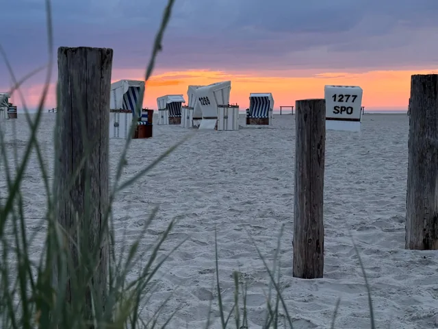 Strandkörbe am Strand von St. Peter-Ording bei Sonnenuntergang