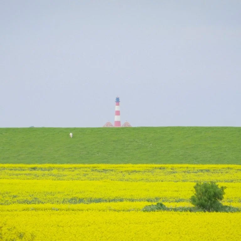 Wiesen und Felder mit Westerhever Leuchtturm im Hintergrund